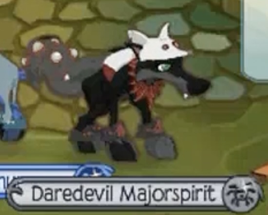 An Animal Jam wolf in The Lost Temple of Zios. The wolf is black and dark grey with green eyes. She has a white fox hat, a red leaf necklace, no back item, black and red elf bracelets, and black and red elf tail armor. The animal name displayed is Daredevil Majorspirit. There are other players on the edges of the picture, around her.